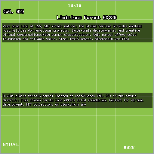 Limitless Forest 60036