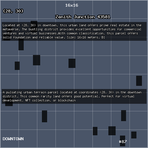 Zenith Junction 43581